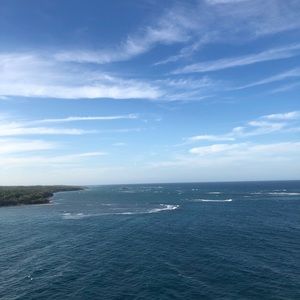 Meet your Posher, Cate